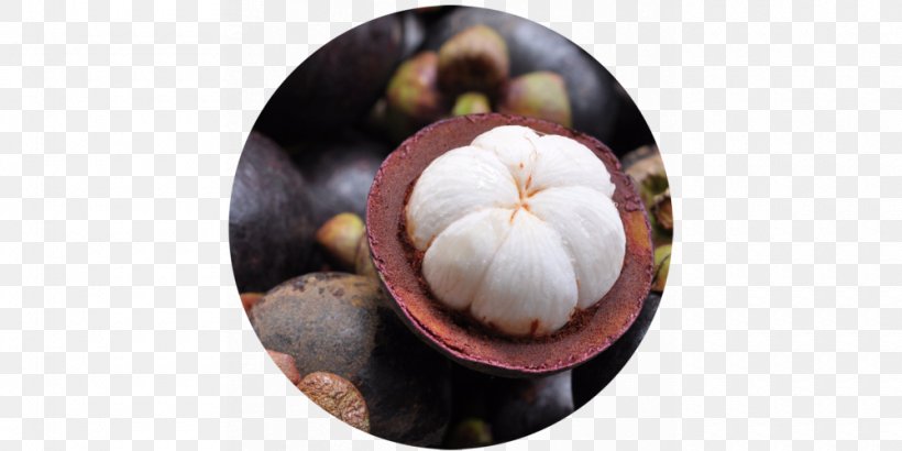 Diabetes Mellitus Fruit Purple Mangosteen Food Medicine, PNG, 1000x500px, Diabetes Mellitus, Auglis, Cure, Diabetes Health, Disease Download Free