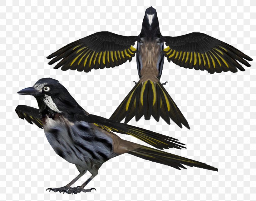 Finch Bird Beak Feather Wing, PNG, 1008x792px, Finch, Beak, Bird, Crow Like Bird, Fauna Download Free
