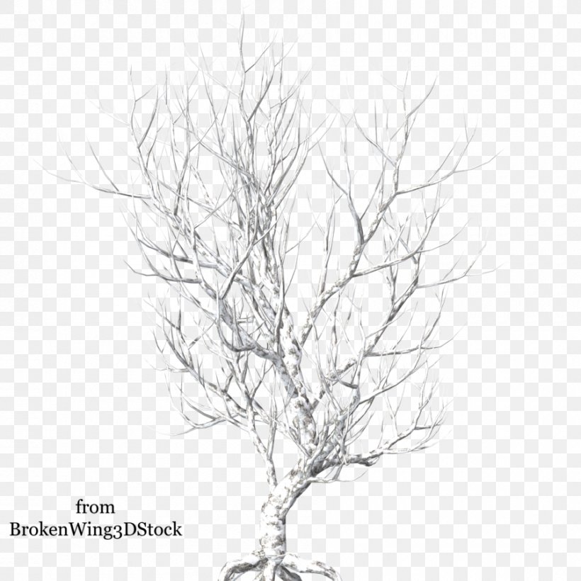 Twig Tree Image Clip Art, PNG, 900x900px, Twig, Art, Black And White, Branch, Drawing Download Free