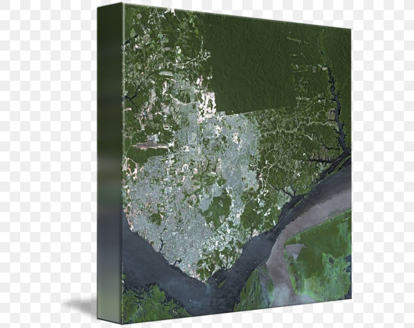 Manaus Water Biome Picture Frames Map, PNG, 589x650px, Manaus, Biome, Grass, Green, Map Download Free