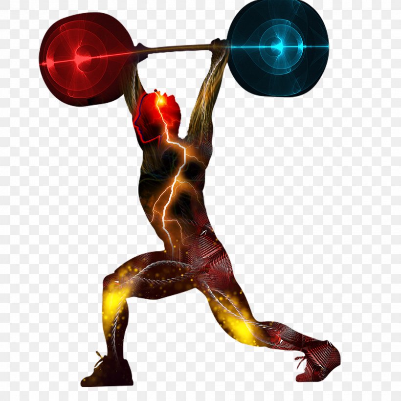 Physical Fitness Olympic Weightlifting Weight Training Fitness Centre Barbell, PNG, 1920x1920px, Physical Fitness, Arm, Athlete, Barbell, Exercise Equipment Download Free