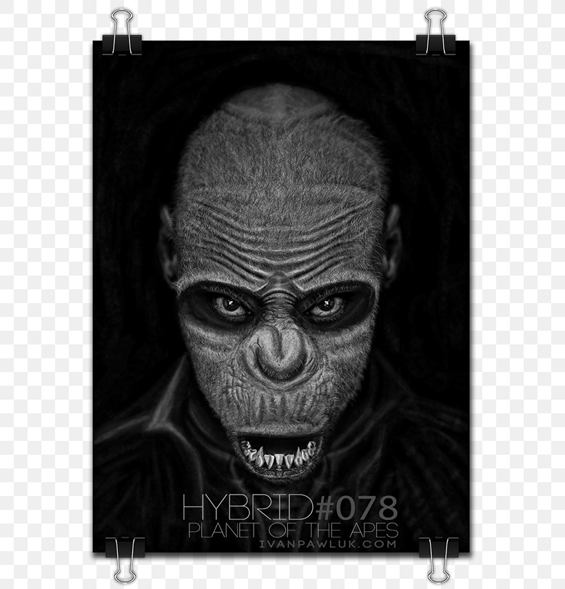 Skull Character Horror Snout White, PNG, 600x855px, Skull, Black And White, Bone, Character, Fiction Download Free
