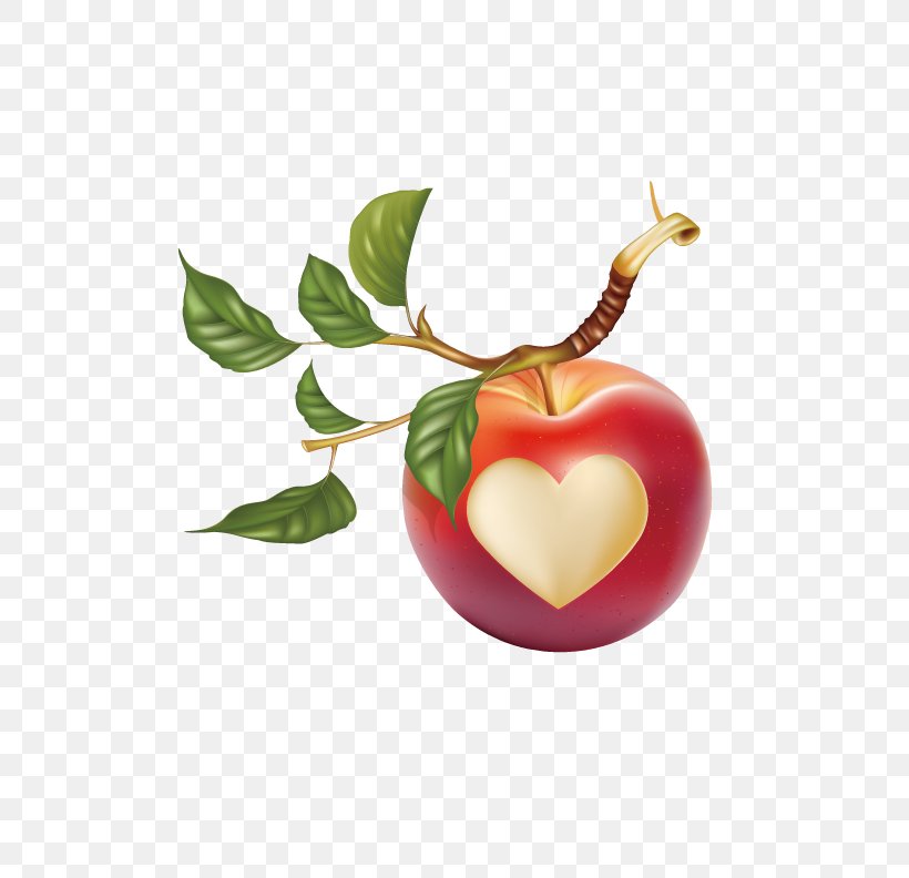 Apple Leaf Fruit Clip Art, PNG, 612x792px, Apple, Drawing, Food, Free Content, Fruit Download Free