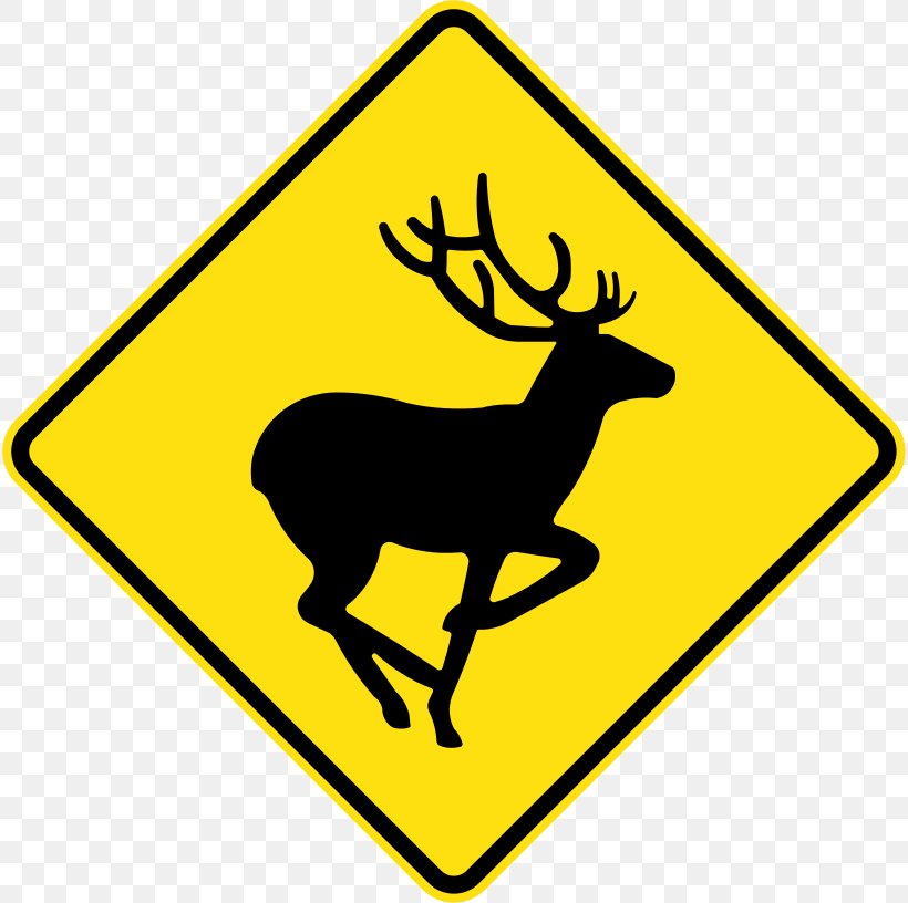 Deer Traffic Sign Warning Sign Road, PNG, 816x816px, Deer, Antler, Area, Black And White, Driving Test Download Free