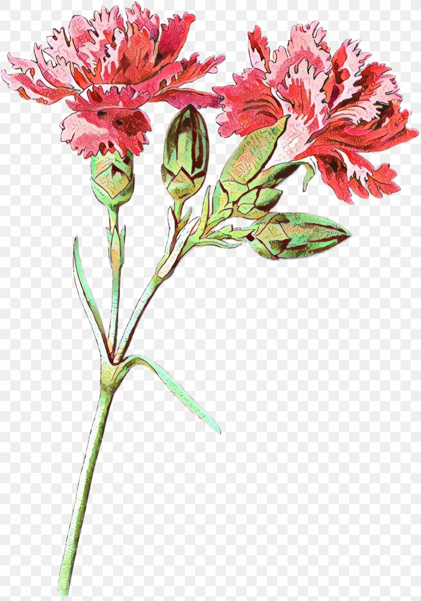 Lily Flower Cartoon, PNG, 1262x1800px, Lily Of The Incas, Artificial Flower, Blume, Carnation, Cut Flowers Download Free