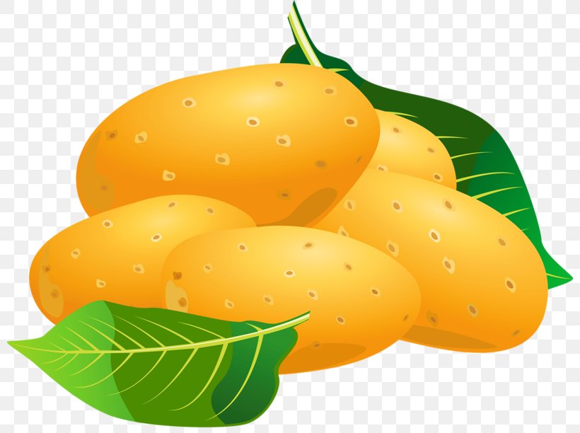 Royalty-free Potato Clip Art, PNG, 800x612px, Royaltyfree, Apricot, Art, Cartoon, Citrus Download Free