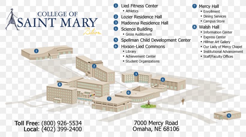 College Of Saint Mary Saint Mary's College Of California St. Mary's University, Texas College Of San Mateo Saint Mary's University Of Minnesota, PNG, 1000x559px, College Of Saint Mary, Architecture, Area, Campus, Campus University Download Free