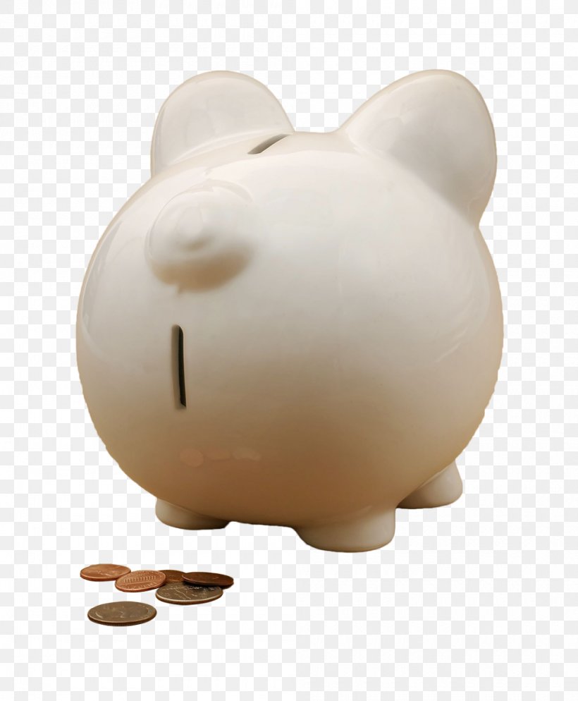 Domestic Pig Piggy Bank, PNG, 1000x1213px, Domestic Pig, Bank, Finance, Investment, Piggy Bank Download Free