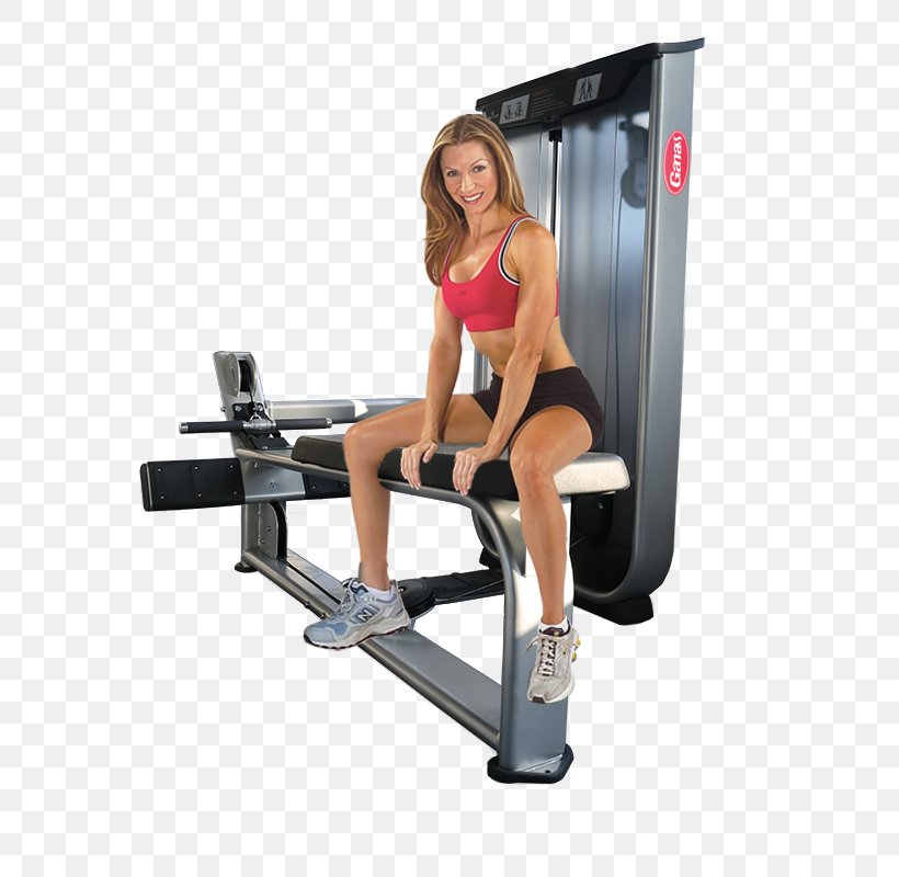 Fitness Centre Physical Fitness Bodybuilding Weight Training Exercise Equipment, PNG, 800x800px, Watercolor, Cartoon, Flower, Frame, Heart Download Free