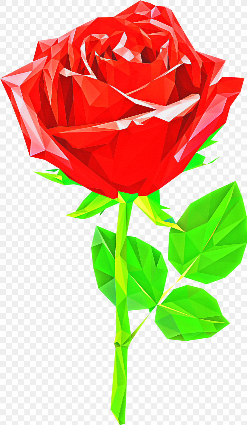 Garden Roses, PNG, 1741x3000px, Flower, Cut Flowers, Garden Roses, Hybrid Tea Rose, Petal Download Free