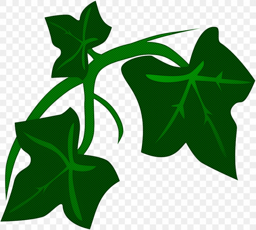 Leaf Plant Stem Flower Tree Symbol, PNG, 894x805px, Leaf, Biology, Branching, Flower, Plant Download Free