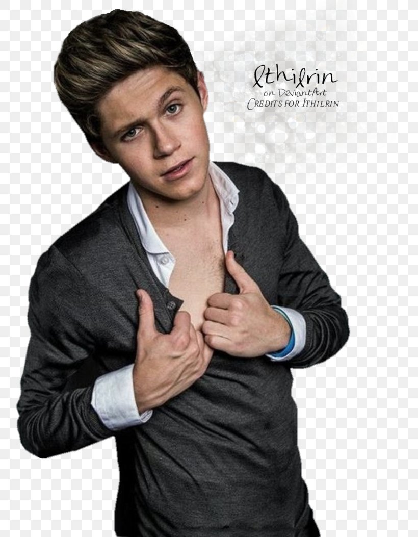 Niall Horan Take Me Home Tour One Direction, PNG, 759x1053px, Watercolor, Cartoon, Flower, Frame, Heart Download Free