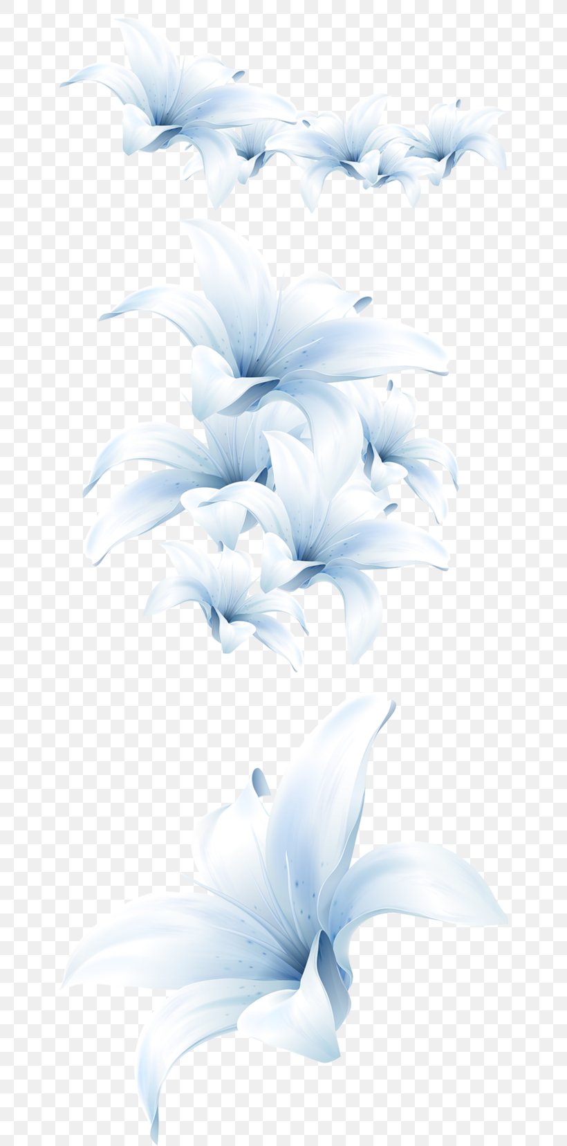 Flower Bouquet Lilium Candidum White, PNG, 650x1656px, Flower, Blue, Color, Cut Flowers, Floral Design Download Free
