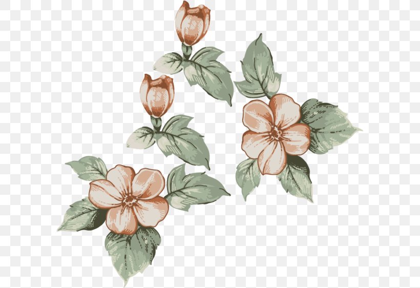 Flower Drawing, PNG, 600x562px, Flower, Cut Flowers, Drawing, Floral Design, Flowering Plant Download Free