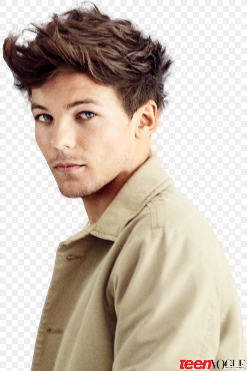 Louis Tomlinson One Direction: This Is Us Hairstyle Teen Pop, PNG, 1024x1536px, Watercolor, Cartoon, Flower, Frame, Heart Download Free