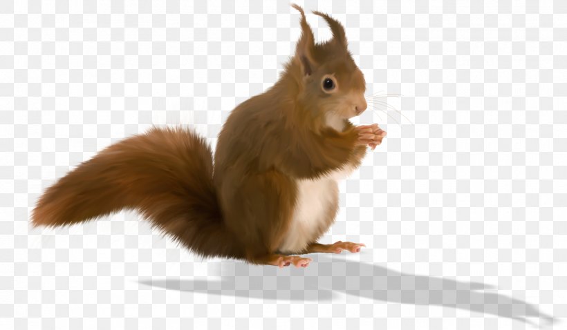 Tree Squirrels Animation Clip Art, PNG, 1772x1033px, Tree Squirrel, Animal, Animation, Chipmunk, Domestic Rabbit Download Free