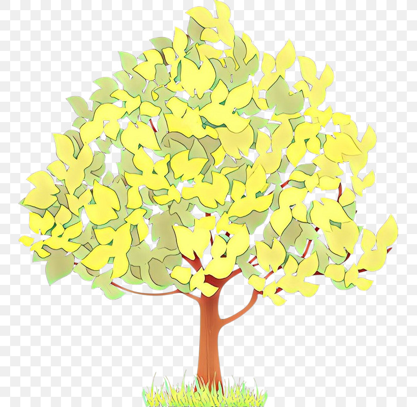 Yellow Tree Plant Flower Cut Flowers, PNG, 747x800px, Yellow, Cut Flowers, Flower, Leaf, Plant Download Free