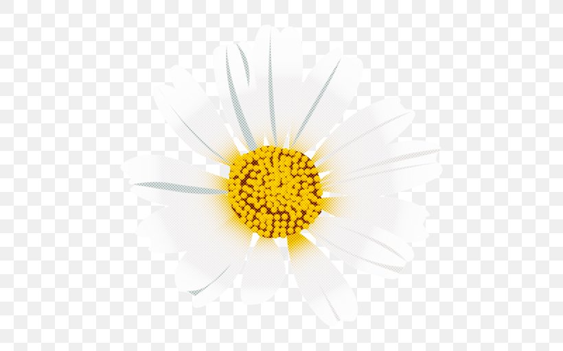 Daisy, PNG, 512x512px, Yellow, Camomile, Chamomile, Daisy, Flower Download Free