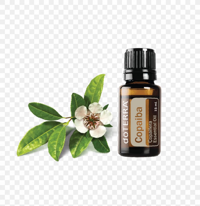Essential Oil DoTERRA Serenity Restful Complex Softgels Copaiba, PNG, 1008x1041px, Essential Oil, Aroma Compound, Copaiba, Doterra, Frankincense Download Free
