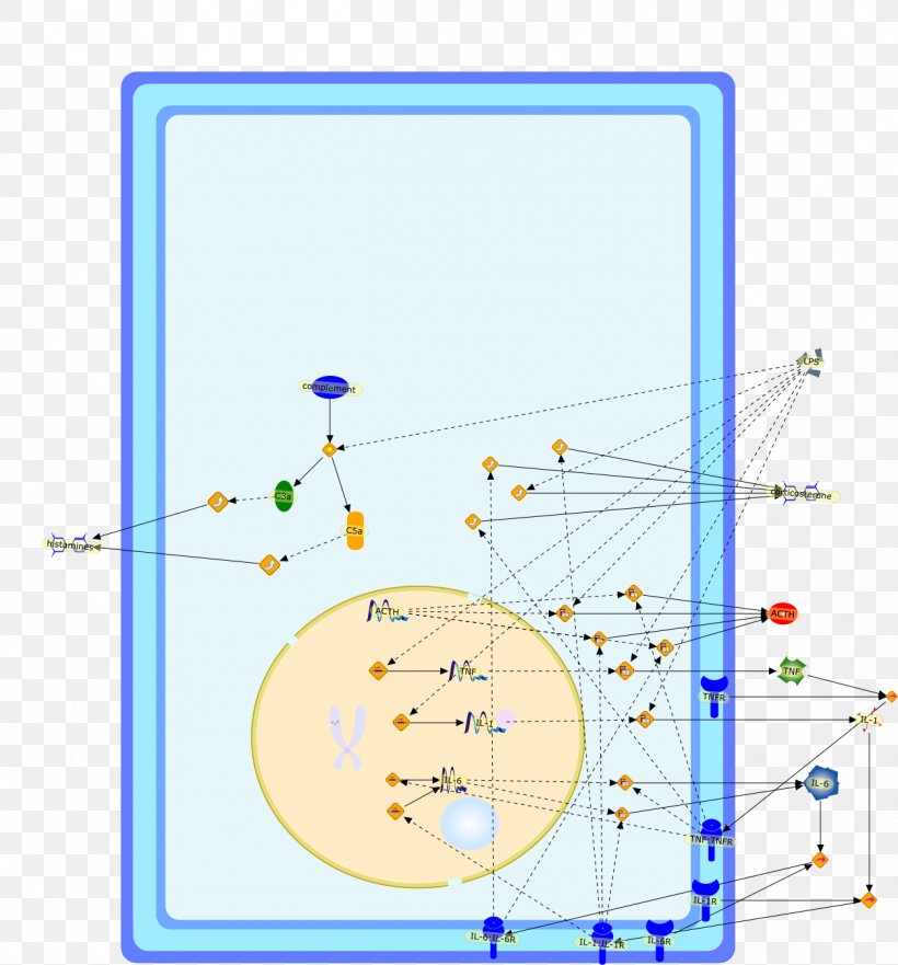 Line Point Diagram, PNG, 1252x1346px, Point, Area, Diagram Download Free