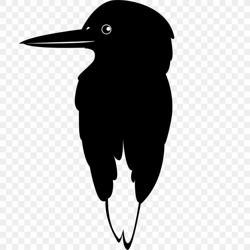 Beak Flightless Bird Silhouette Clip Art, PNG, 1200x1200px, Beak, Bird, Black, Black And White, Flightless Bird Download Free