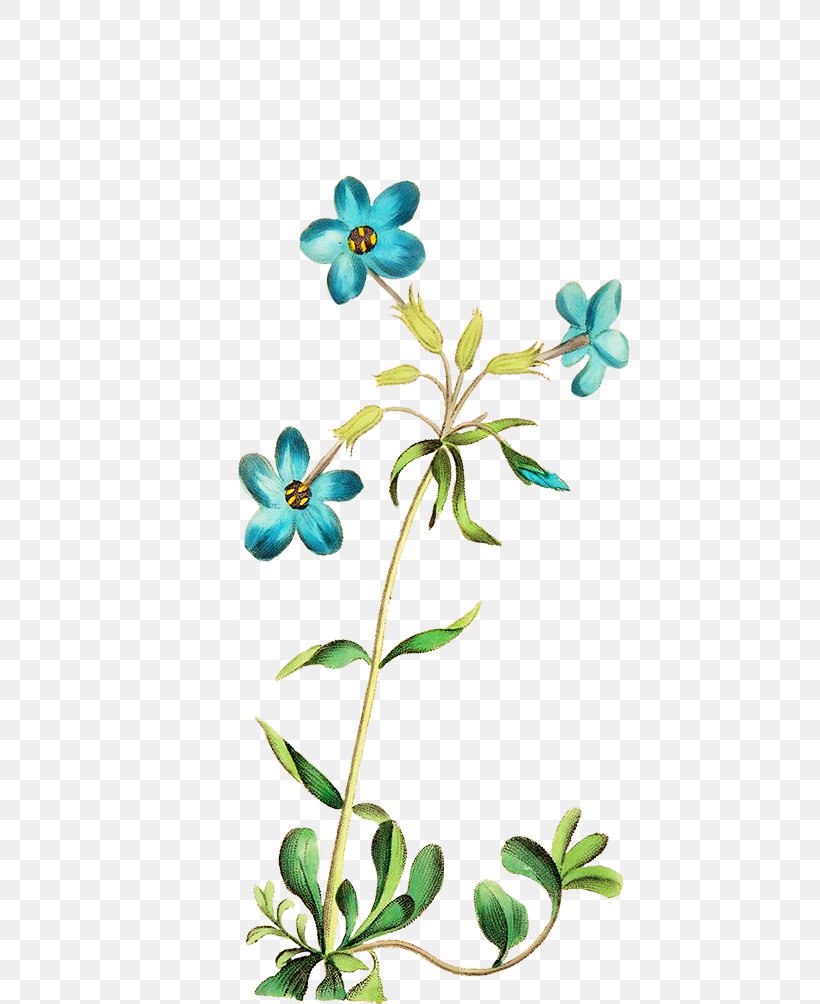 Cut Flowers Floral Design Clip Art, PNG, 703x1004px, Flower, Blue, Body Jewelry, Branch, Cut Flowers Download Free
