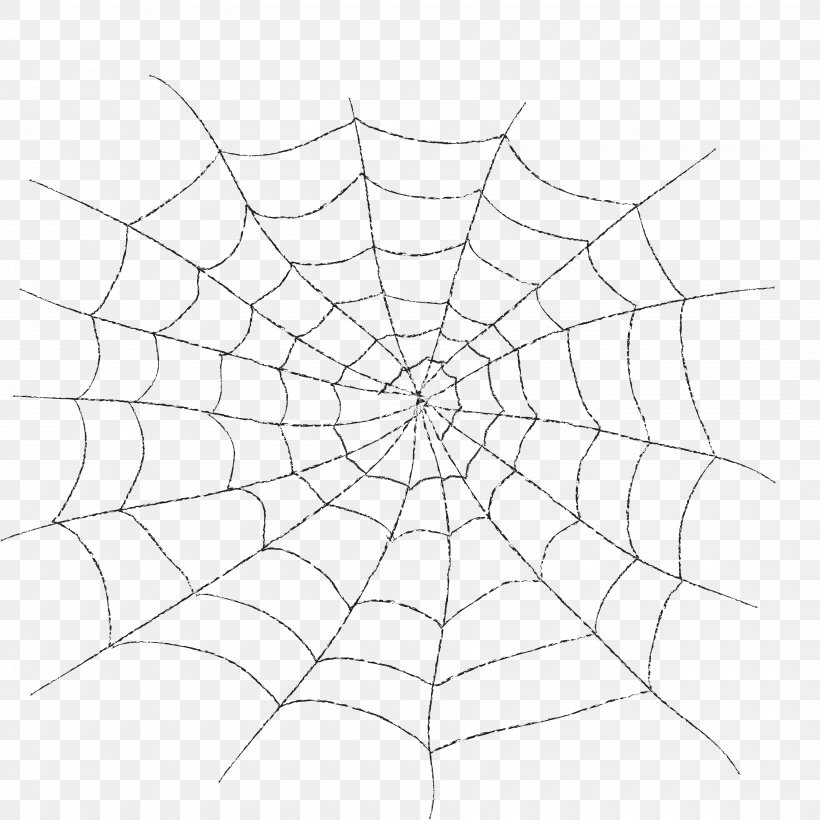 Spider Web, PNG, 3600x3600px, 3d Computer Graphics, Spider, Animation, Area, Black And White Download Free