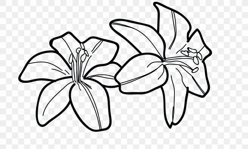 Tiger Lily Drawing Line Art Flower, PNG, 2650x1600px, Tiger Lily, Area, Art, Artwork, Black And White Download Free