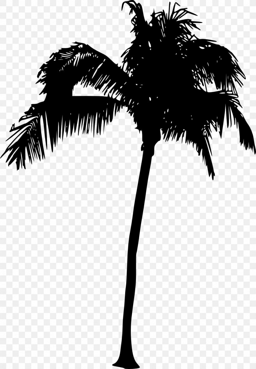 Arecaceae Tree Silhouette, PNG, 1043x1500px, Arecaceae, Arecales, Asian Palmyra Palm, Black And White, Borassus Flabellifer Download Free