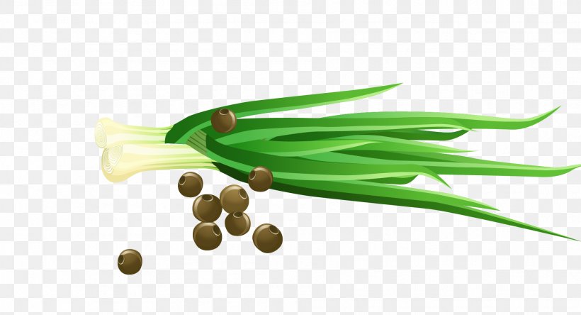 Vegetable Scallion Cartoon, PNG, 1902x1030px, Vegetable, Allium Fistulosum, Cartoon, Condiment, Drawing Download Free