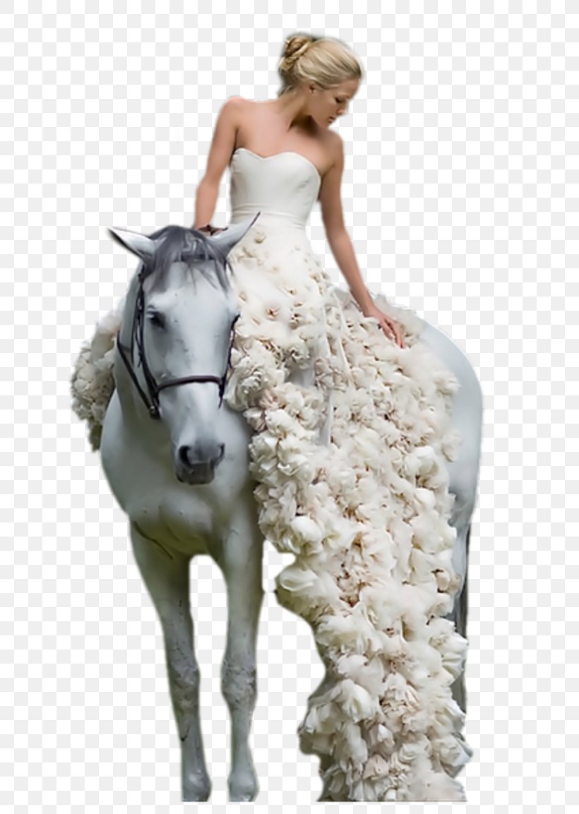 Wedding Dress Horse Woman, PNG, 800x1153px, Wedding Dress, Bride, Child, Dress, Evening Gown Download Free