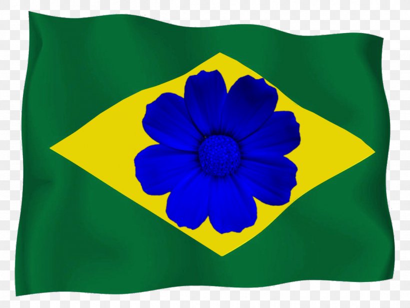 Flag Of Brazil Bible, PNG, 1105x829px, Flag Of Brazil, Bible, Birthday, Brazil, Flag Download Free