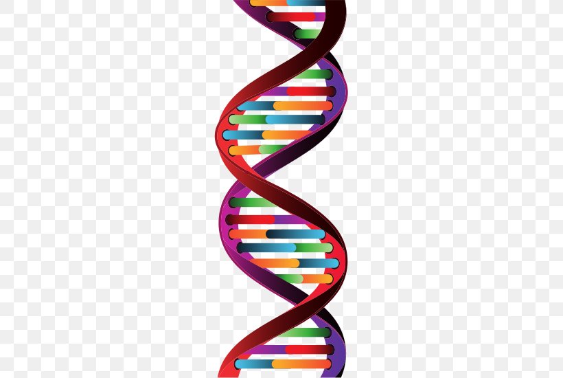 DNA Molecule Training, PNG, 550x550px, Dna, Biology, Genealogical Dna Test, Genetics, Molecular Biology Download Free
