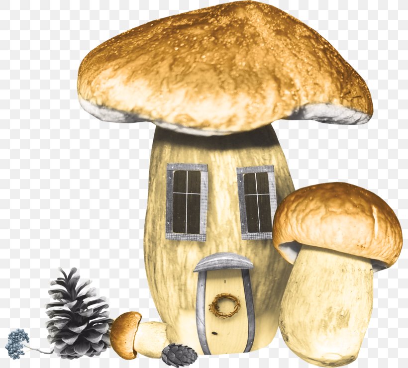 Edible Mushroom Boletus Edulis Cheeseburger Pleurotus Eryngii, PNG, 800x740px, Edible Mushroom, Boletus, Boletus Edulis, Bun, Cheeseburger Download Free