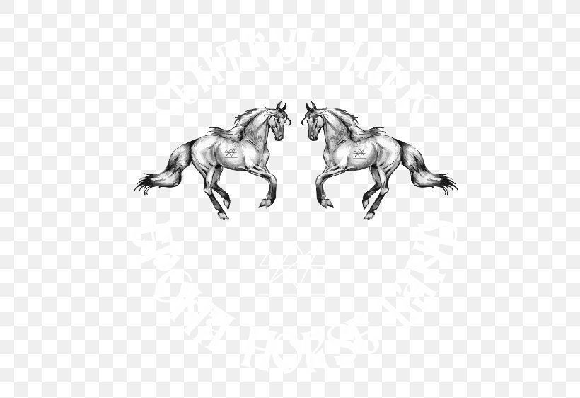 EPON Hipic Center HORSE LAND Mustang Stallion Equestrian Centre, PNG, 563x562px, Mustang, Black And White, Drawing, Earrings, Epona Download Free