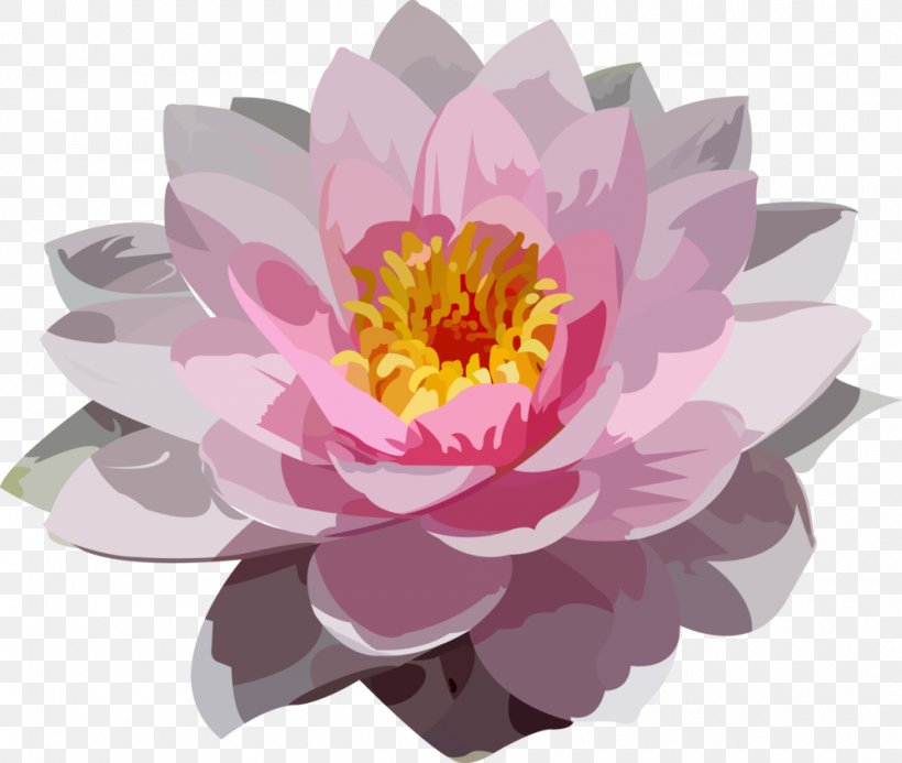 Peony Floristry Petal Aquatic Plants Pink M, PNG, 1000x846px, Peony, Aquatic Animal, Aquatic Plant, Aquatic Plants, Floristry Download Free