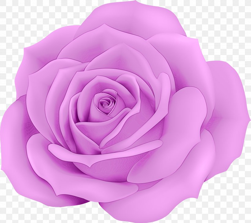 Pink Flowers Background, PNG, 3000x2671px, Garden Roses, Cabbage Rose, Camellia, Cut Flowers, Floribunda Download Free