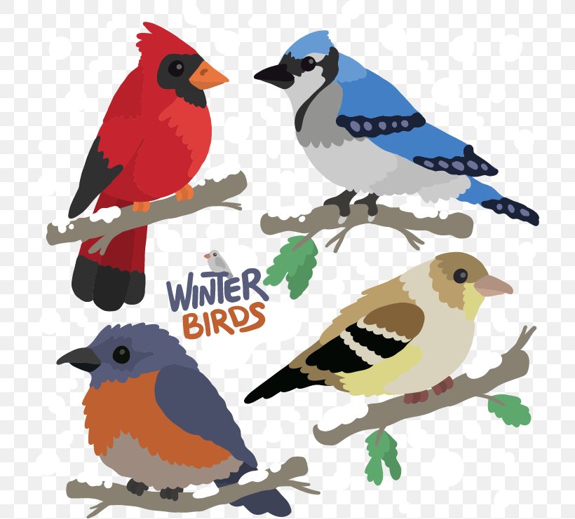 Bird Feather Winter, PNG, 719x741px, Bird, Art, Beak, Branch, Fauna Download Free