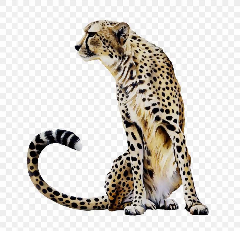 Cheetah Leopard Jaguar Ocelot Tile, PNG, 2543x2459px, Cheetah, African Leopard, Animal, Animal Figure, Big Cats Download Free