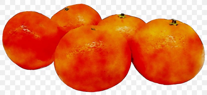 Plum Tomato Food Ha Ne Mo, PNG, 1477x684px, Plum Tomato, Accessory Fruit, Carbohydrate, Confectionery, Diospyros Download Free