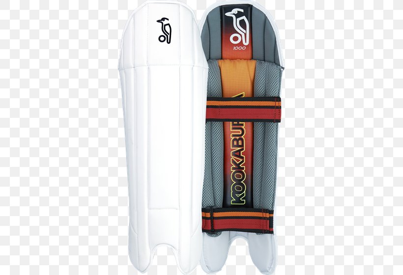 Protective Gear In Sports Wicket-keeper England Cricket Team Cricket Bats, PNG, 560x560px, Protective Gear In Sports, Baseball Equipment, Batting, Cricket, Cricket Bat Download Free