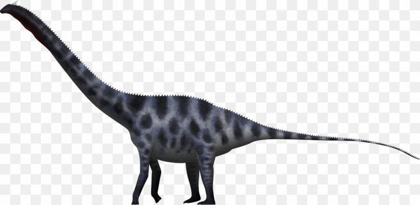 Supersaurus Dinosaur Size Seismosaurus Apatosaurus, PNG, 1279x625px, Supersaurus, Amphicoelias, Amphicoelias Altus, Animal Figure, Apatosaurus Download Free