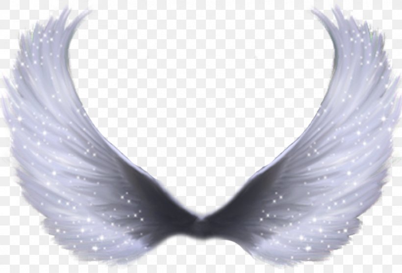 Transparency Clip Art Image Openclipart, PNG, 914x621px, Transparency And Translucency, Angel, Feather, Neck, Wing Download Free