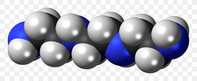 Triethylenetetramine Ethylenediamine Hydrochloride, PNG, 2407x1000px, Triethylenetetramine, Amine, Ballandstick Model, Body Jewelry, Chemical Compound Download Free