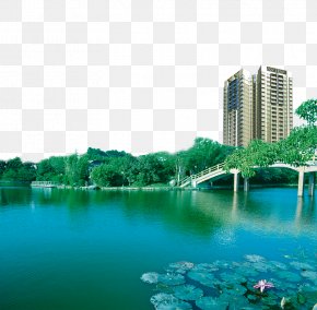 Green Lake Real Estate - Chaohu Dalian Zhuhai Ningxiang Hefei PNG