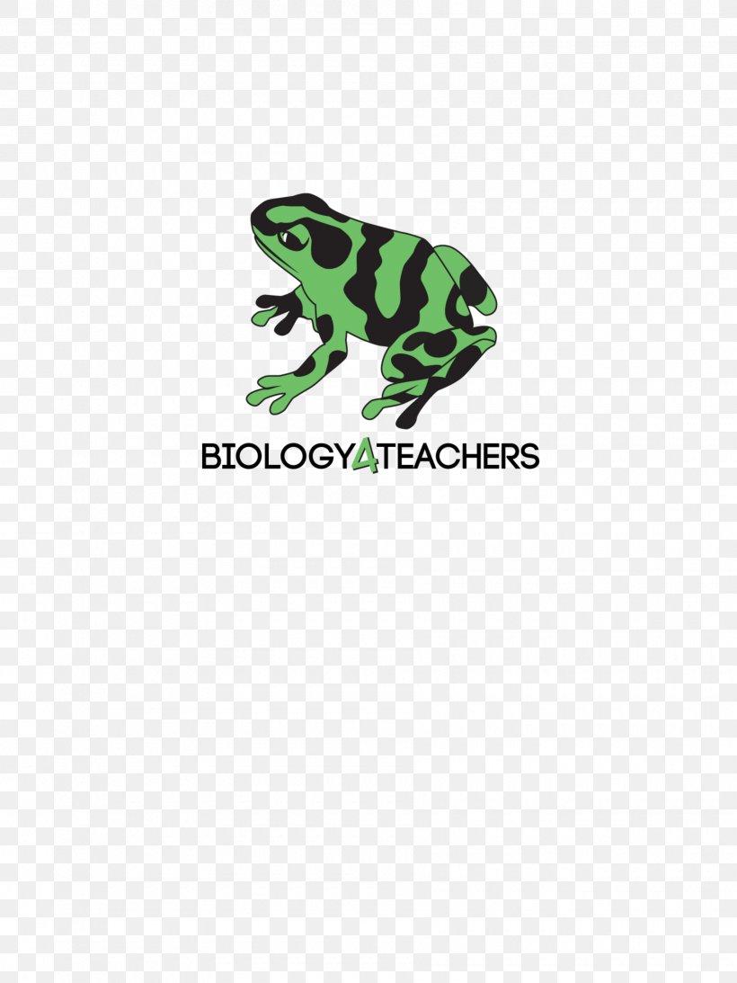 Toad Tree Frog Logo, PNG, 1800x2400px, Toad, Amphibian, Brand, Frog, Green Download Free
