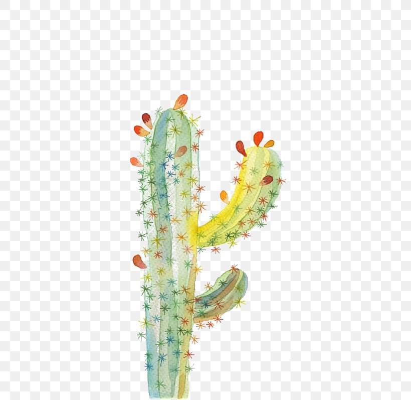 Cactaceae UGallery Watercolor Painting Drawing, PNG, 564x797px, Cactaceae, Art, Cactus, Drawing, Flowering Plant Download Free