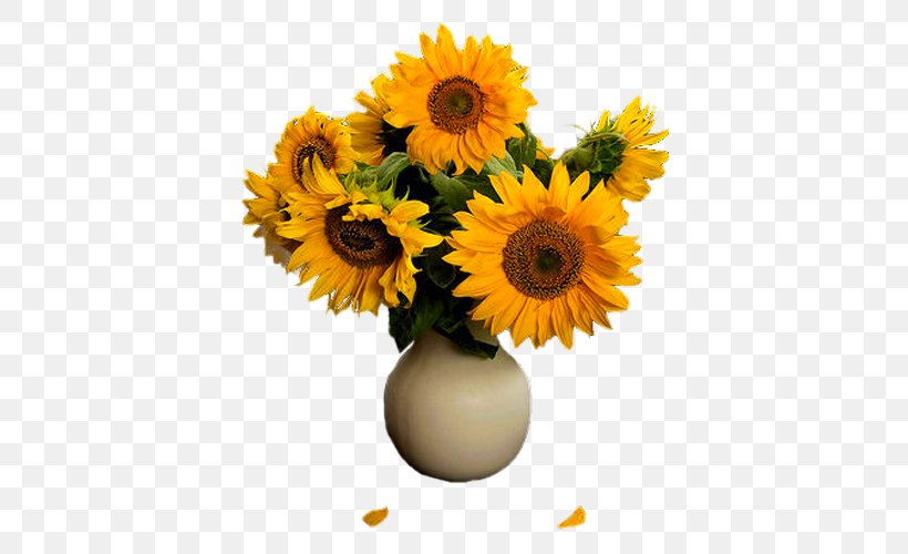 Common Sunflower Floral Design Transvaal Daisy Flowerpot Cut Flowers, PNG, 500x500px, Common Sunflower, Artificial Flower, Cut Flowers, Daisy Family, Floral Design Download Free