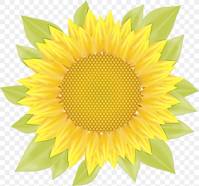 Dandelion Royalty-free Icon, PNG, 1711x1600px, Watercolor, Dandelion, Paint, Royaltyfree, Wet Ink Download Free