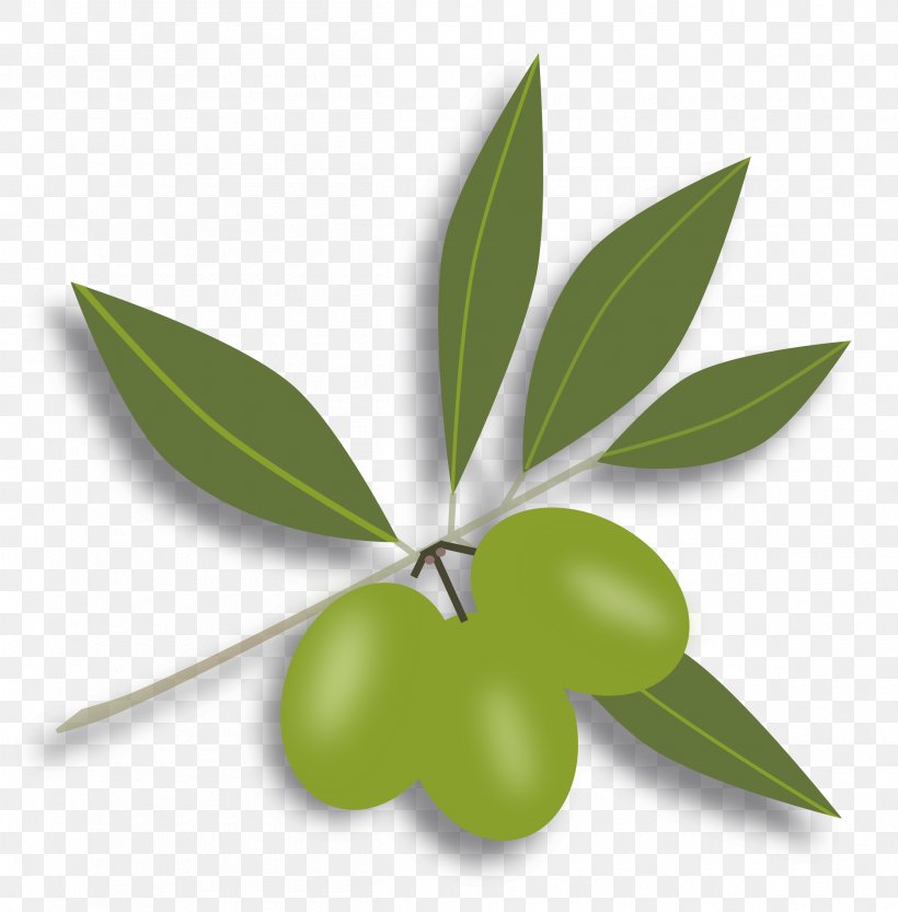Olive Free Content Clip Art, PNG, 2400x2439px, Olive, Free Content, Fruit, Leaf, Olive Oil Download Free